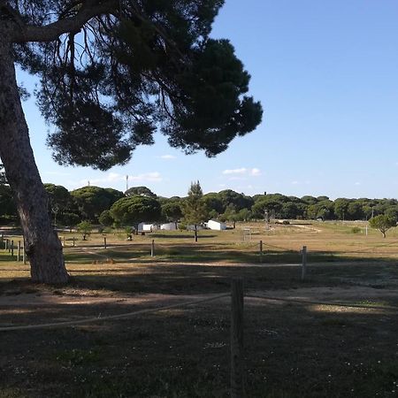 Beach Falésia Albufeira Kültér fotó