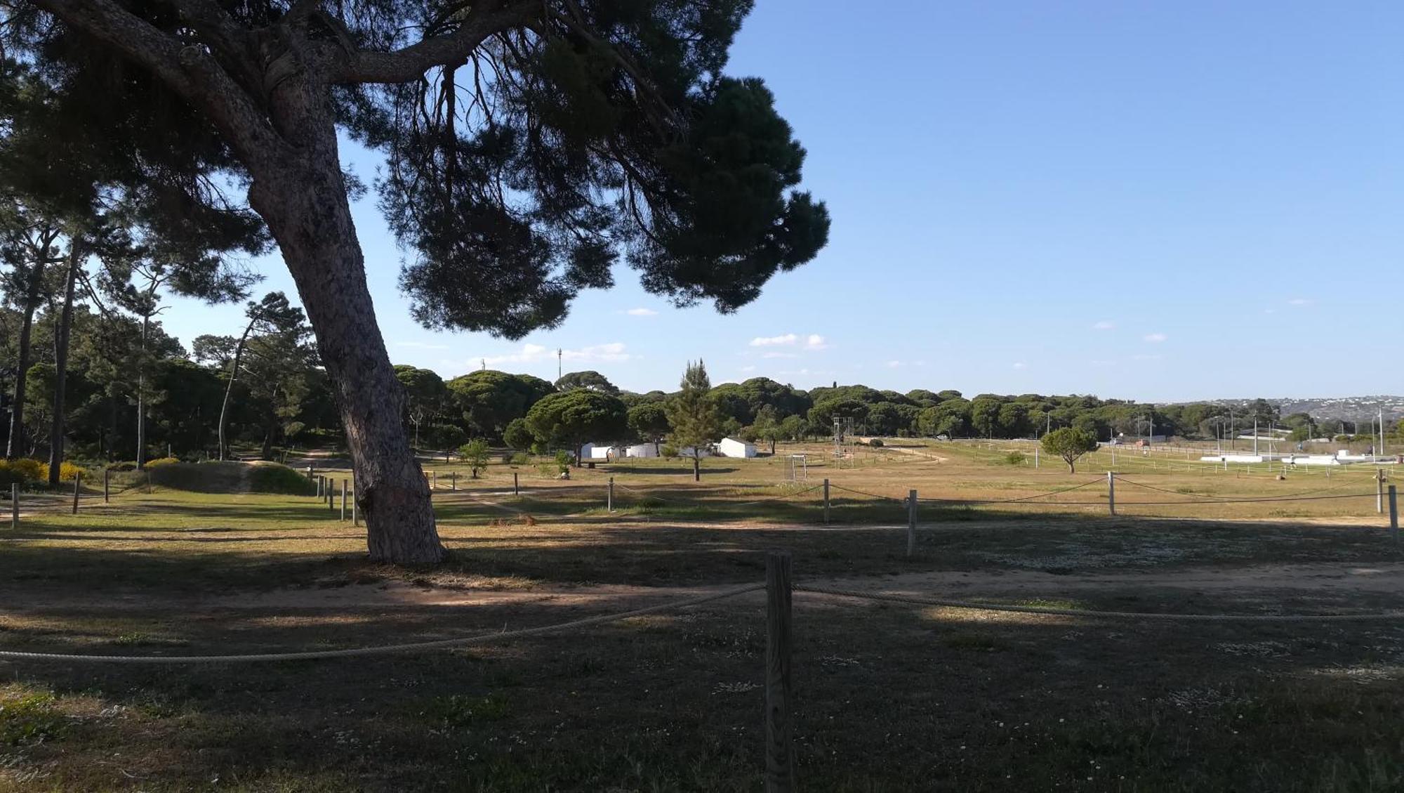 Beach Falésia Albufeira Kültér fotó